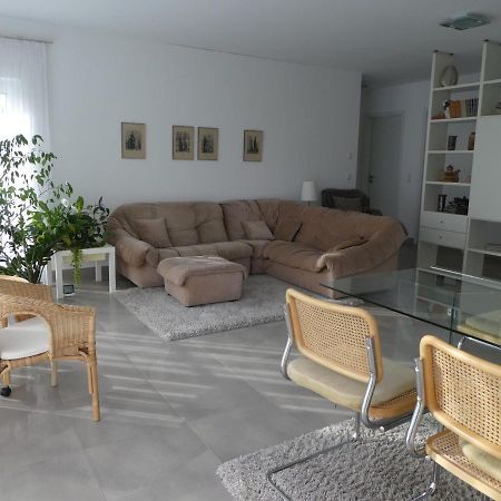 Grosszuegige,Zetrumsnahe Wohnung Дрезден Екстер'єр фото
